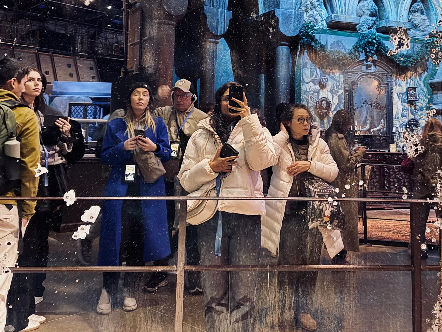 A Mirror to the Self